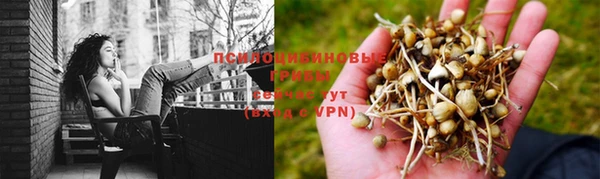 MESCALINE Горно-Алтайск