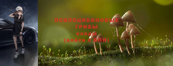 МДПВ Абинск
